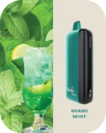 Fummo Indic 12000 Puffs Disposable Vape 20 MG - Image 3
