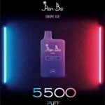 Palm Bar 5500 Puffs Disposable Vape in Uae - Image 9